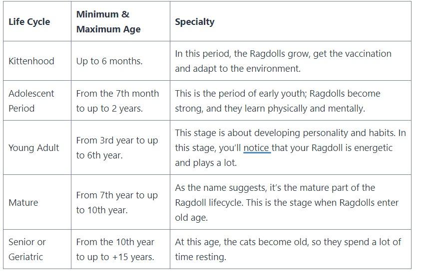 Quick Overview - Life Cycle of Ragdoll Cat