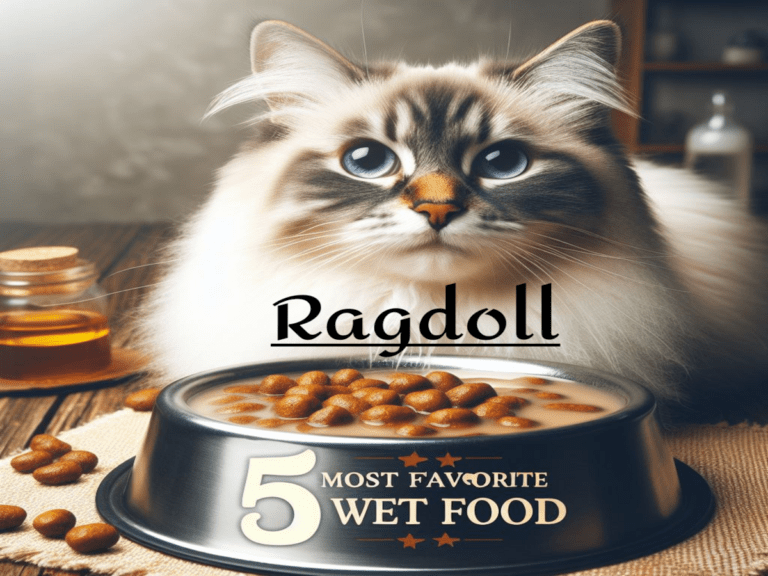 Ragdoll 5 Most Favorite Wet Food [With Real Meat]